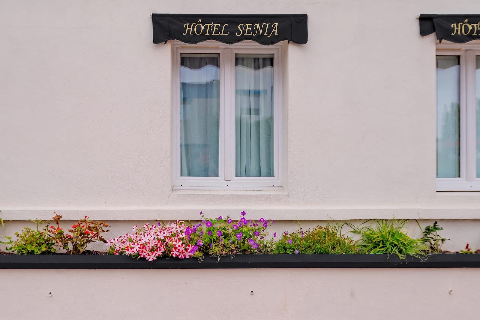 L'enseigne dorée Hôtel Sénia au-dessus d'une jardinière fleurie